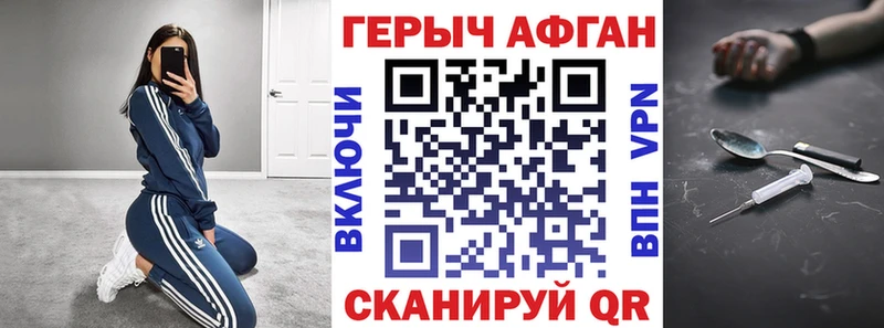 ГЕРОИН хмурый  Великий Устюг 