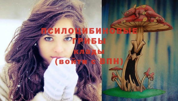 таблы Алексеевка