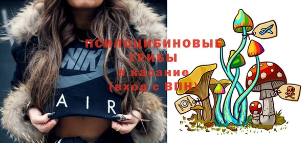 МДПВ Алексин