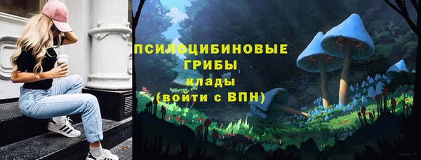 МДПВ Алексин